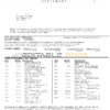 USA TCF bank statement, Word and PDF template, 3 pages