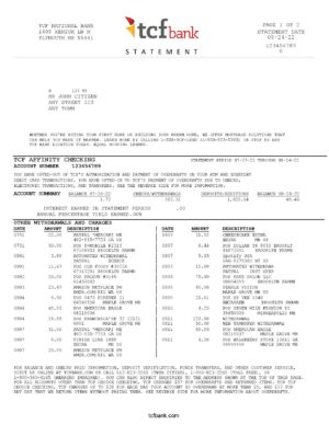 USA Editable Templates 10 USA TCF bank statement, Word and PDF template, 3 pages