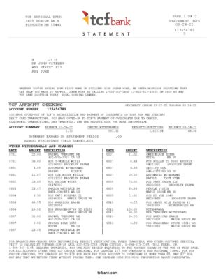 USA TCF bank statement, Word and PDF template, 3 pages