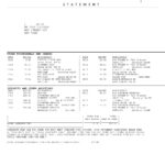 USA TCF bank statement, Word and PDF template, 3 pages