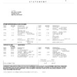 USA TCF bank statement, Word and PDF template, 3 pages