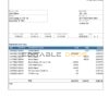 USA Texas BNI bank account statement Word and PDF template