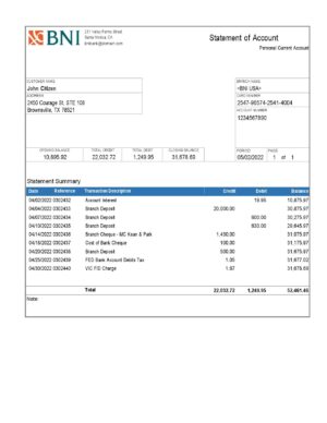 USA Editable Templates 10 USA Texas BNI bank account statement Word and PDF template