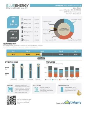 USA Editable Templates 13 USA Texas Blue Energy utility bill, Word and PDF template
