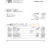 USA Texas First Citizens bank statement Word and PDF template