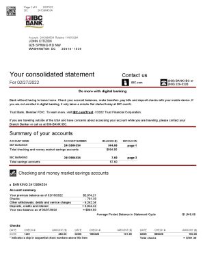 USA Editable Templates 3 USA Texas IBC bank statement Word and PDF template, 5 pages 1