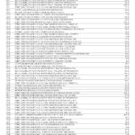 USA Texas IBC bank statement Word and PDF template, 5 pages