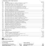 USA Texas IBC bank statement Word and PDF template, 5 pages