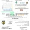 USA Massachusetts Town of Rowley Municipal Lighting Plant electricity utility bill template in Word and PDF format