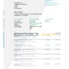 USA TransferWise Finances statement, Word and PDF template