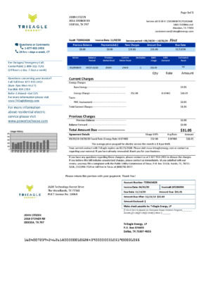 USA Texas TriEagle utility bill template in Word and PDF (.doc and .pdf) format
