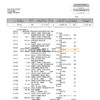 USA USAA bank statement Word and PDF template, 5 pages