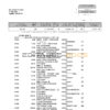 USA USAA bank statement Word and PDF template, 5 pages