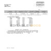 USA USAA bank statement Word and PDF template, 5 pages