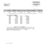 USA USAA bank statement Word and PDF template, 5 pages
