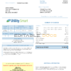 USA Arizona Utility Smart utility bill template in Word and PDF format (.doc and .pdf)