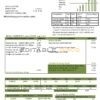 USA Kansas Victory Electric utility bill template in Word and PDF format