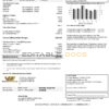 USA Nevada Waterloo North Hydro utility bill template in Word and PDF format