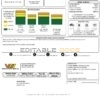 USA Nevada Waterloo North Hydro utility bill template in Word and PDF format (version 2)