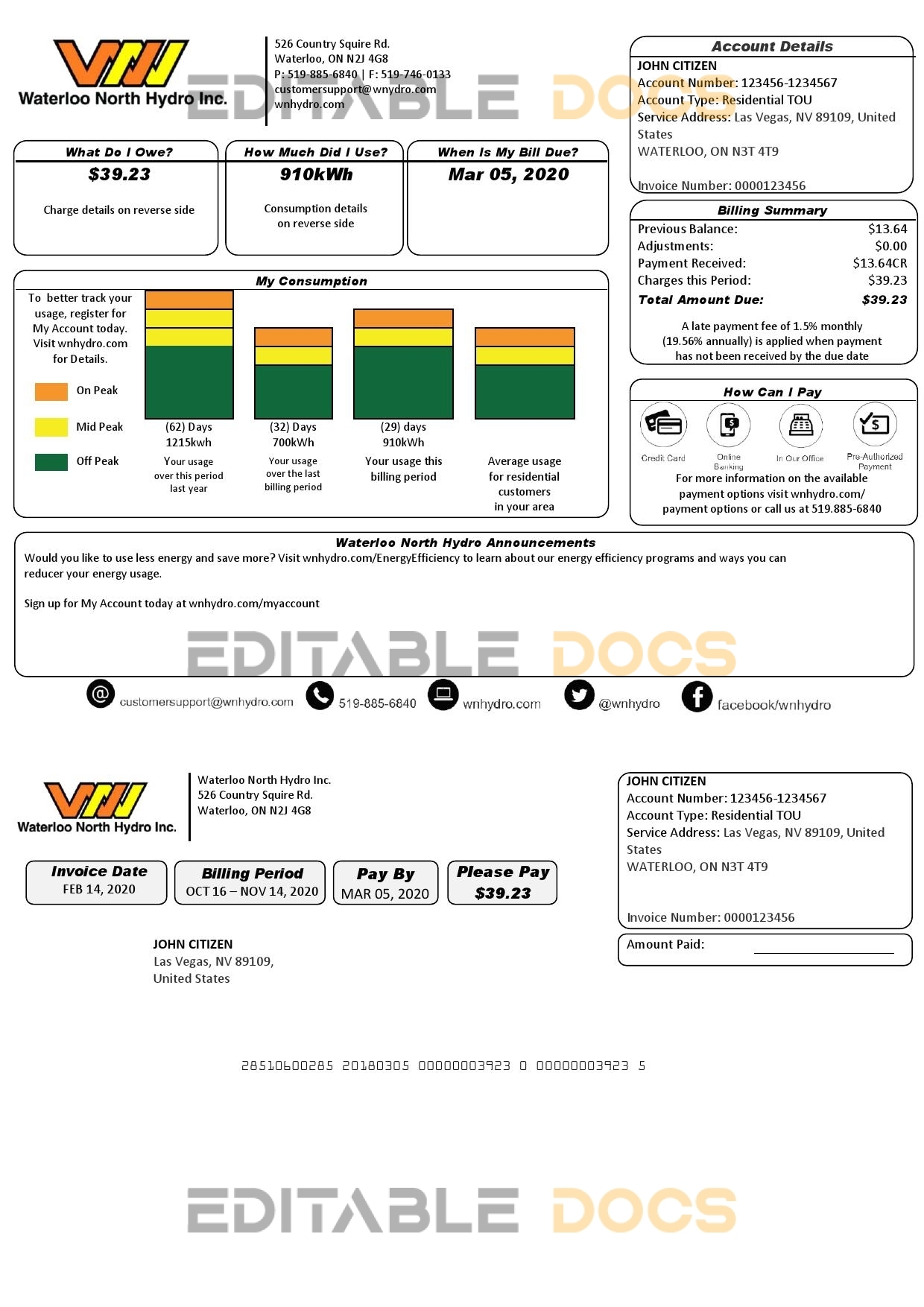 USA Nevada Waterloo North Hydro utility bill template in Word and PDF format (version 2)