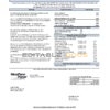 USA Pennsylvania West Penn Power utility bill template in Word and PDF format