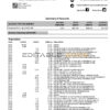 USA Woodforest bank statement Word and PDF template, 3 pages