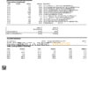 USA Woodforest bank statement Word and PDF template, 3 pages