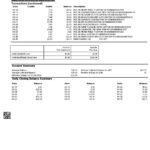 USA Woodforest bank statement Word and PDF template, 3 pages