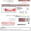 USA Wyoming High West Energy utility bill in Word anf PDF format (2 pages)