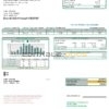 USA North Dakota Nodak Electric Cooperative utility bill template in Word and PDF format