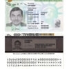 USA green card, permanent residence card template in PSD format, fully editable