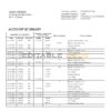 Ukraine Raiffeisen Bank statement template, Word and PDF format (.doc and .pdf)