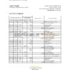 Ukraine Raiffeisen bank statement, Excel and PDF template
