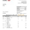 United Kingdom HSBC bank statement template in Word and PDF format
