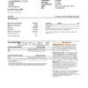 United Kingdom Lloyds bank statement template in Excel and PDF format (2 pages)