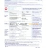 United Kingdom Nationwide bank statement template in .xls and .pdf format (5 pages)