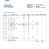 United Kingdom WestStein Bank statement template in Word and PDF format