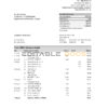 Uruguay HSBC bank statement, Excel and PDF template