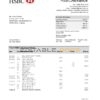 Uruguay HSBC bank statement template in Word and PDF format