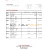 Uzbekistan Ziraat Bank statement, Excel and PDF format