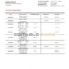 Uzbekistan Ziraat Bank statement template in Word and PDF format