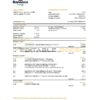 Venezuela Banesco bank statement, Excel and PDF template