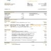 Venezuela Banesco bank statement template in Word and PDF format