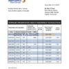 Venezuela Mercantil bank statement template in Word and PDF format