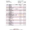 Vietnam Agribank bank statement, Excel and PDF template