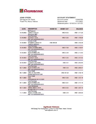 Vietnam Agribank bank statement, Excel and PDF template