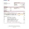 Vietnam BIDV bank statement, Excel and PDF template