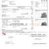 USA WPS utility bill template in Word and PDF format