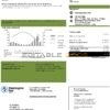 USA Washington Gas (WGL) utility bill template in Word and PDF format