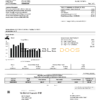 USA Washington Water Service utility bill template in Word and PDF format